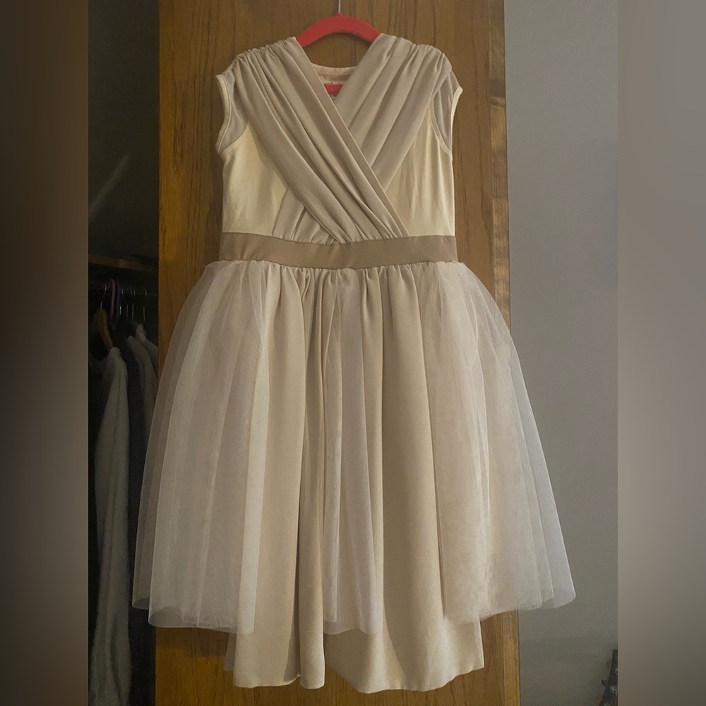 Taylor Joelle Star Wars Dress